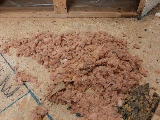 mice feces and insulation