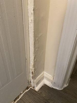 water damage on wall