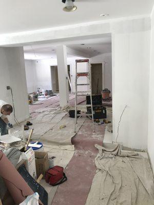 during big kitchen renovation