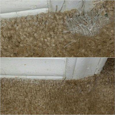 Carpet Repair