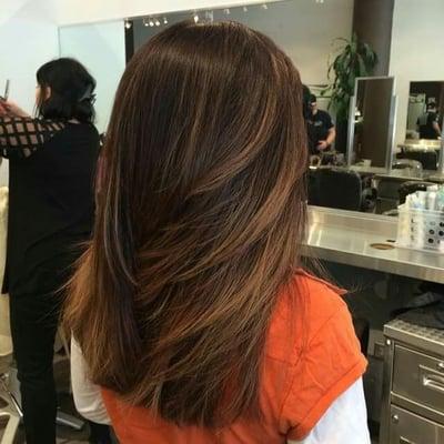 Layered Hair Cut, Balyage Toner Glaze