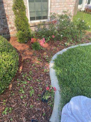 Lee's Lawn & Garden Maintenance