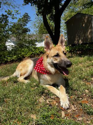 LeeLoo after salon visit :)