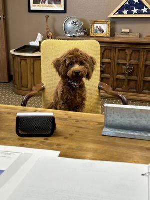 Had a meeting with our newest employee today. He sat there and  complained that there aren't enough toys around the office. Geez! :)