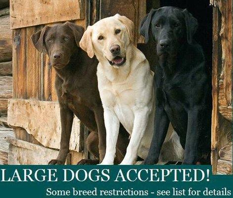 Super pet friendly! Large dogs welcome!