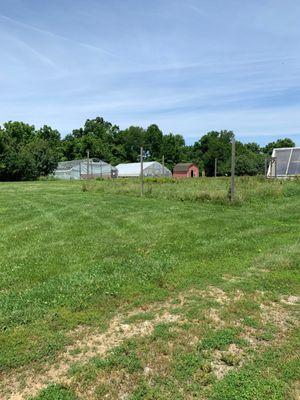 The high tunnels, green house and bee colonies in back