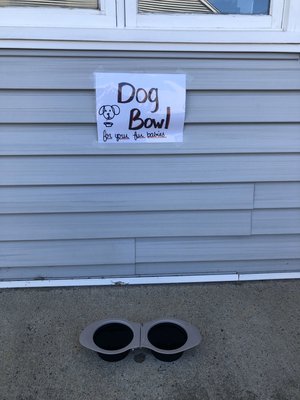 Hydrate your fur babies while you wait for your laundry