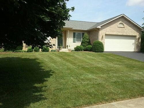 Lawn Care in Frederick Md