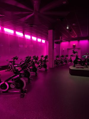 Cycle Studio