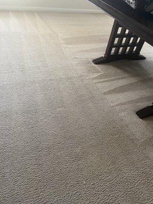 Chad's Carpet Care