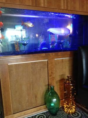 Cool fish tank