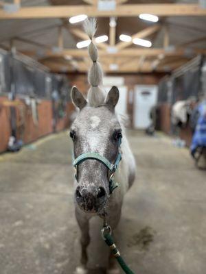 Briarstone Riding Academy