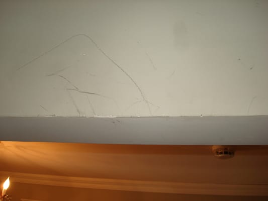 Damage at Attic Fascia