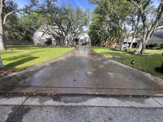 Driveway cleaning! Before pic.