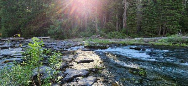 Rogue River running along campsites