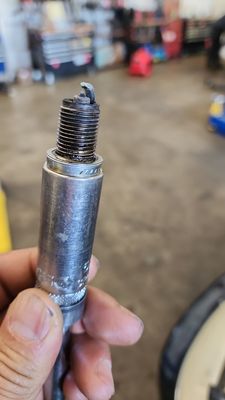 04 Audi a6 spark plugs