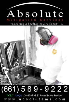 MOLD REMEDIATION