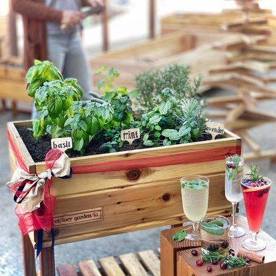 Cozy up to your new cocktail bar. A curated combination of herbs for your adult beverages!