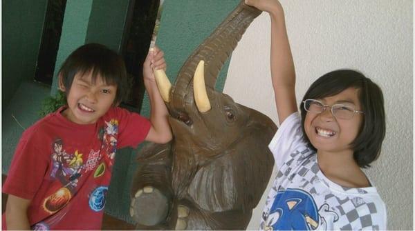 kids with the elephant @ the inn