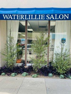 WaterLillie Salon