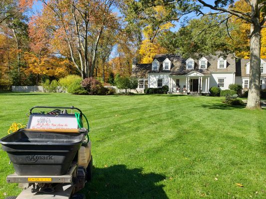 MO & Son Tree & Lawn Care