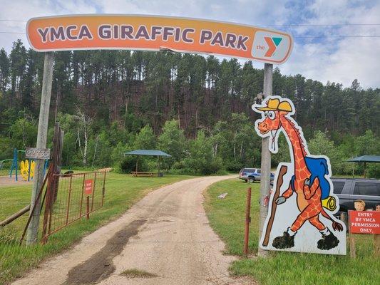 Giraffic Park Day Camp