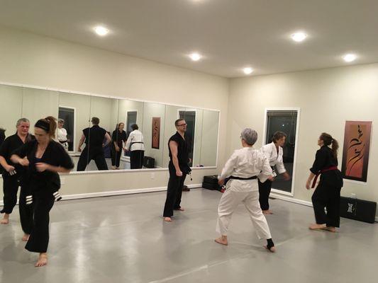 Zai Martial Arts Adult and Children's Classes