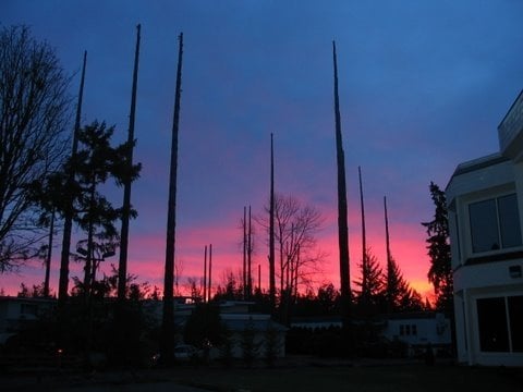 Large crane job in Bellevue