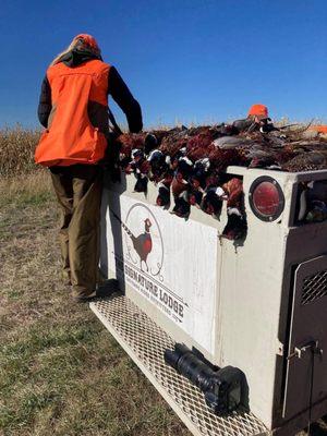 Cheyenne Ridge Signature Lodge