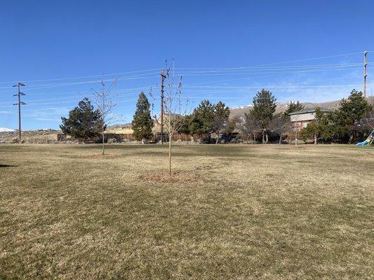 Grassy area near playground.