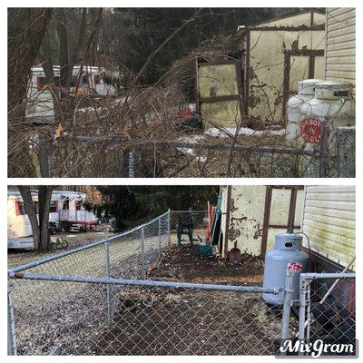 Before and after cleanup of vines and removing small shed.