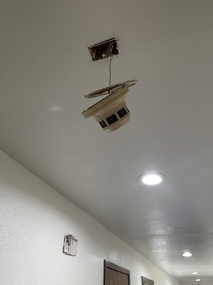 Multiple alarms and lights were like this for months on end. Safety first!