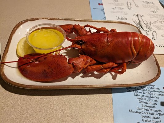 Lobster