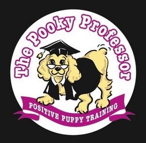 Dog Training Services