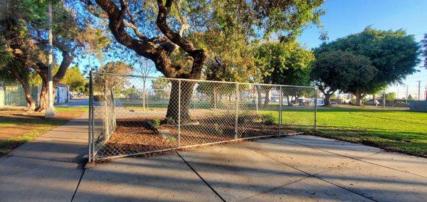 Tree at risk park takes all measures to ensue Saftey