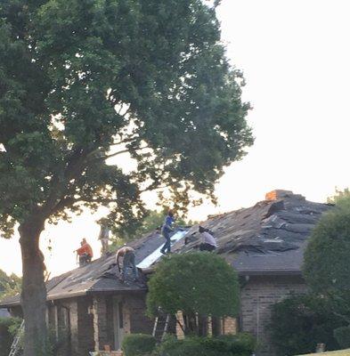 The crew on my roof 7-7-18