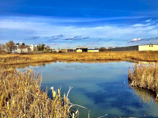 Southbridge Wilmington Wetlands Park