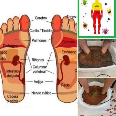 Desintoxica tu hígado graso