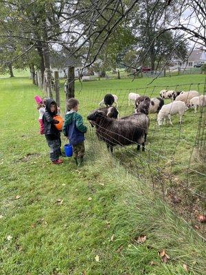 Woodsom Farm Learning Center