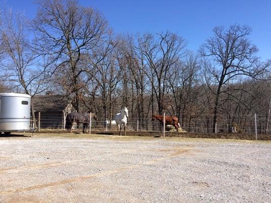 Legends Equestrian Center