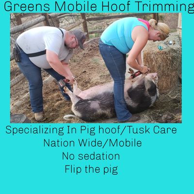 We are mobile piggy farriers nation wide