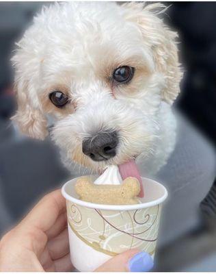 Pup cup