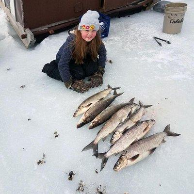 White Fish Ice Fishing on the Bay.