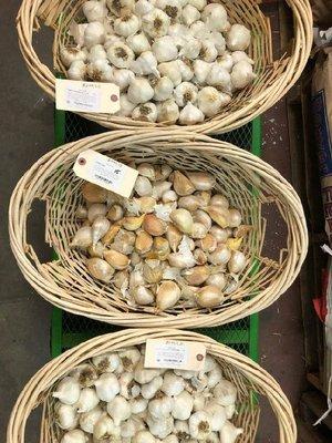 Garlic for your kitchen garden