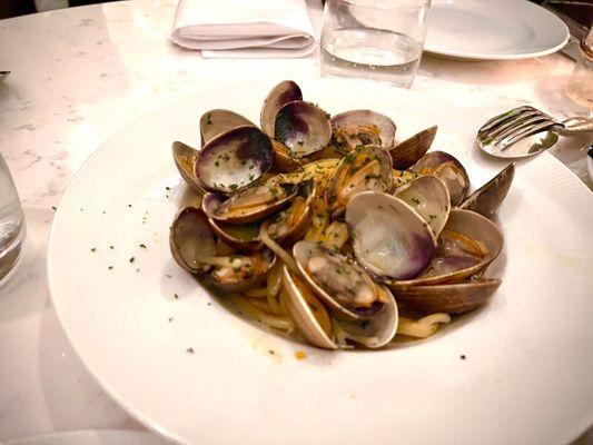 Large Spaghetti from Gragnano served with Clams in White Wine Sauce and Shaved Bottarga