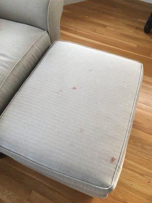 Blood on the ottoman from the injury.