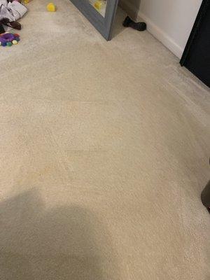 Carpet cleaned and steamed