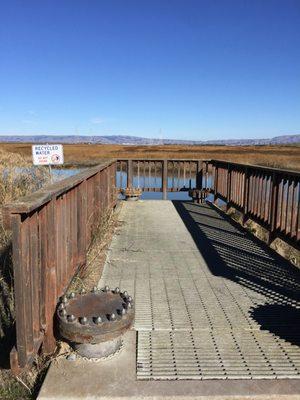 Greay water distcharge into the marshes