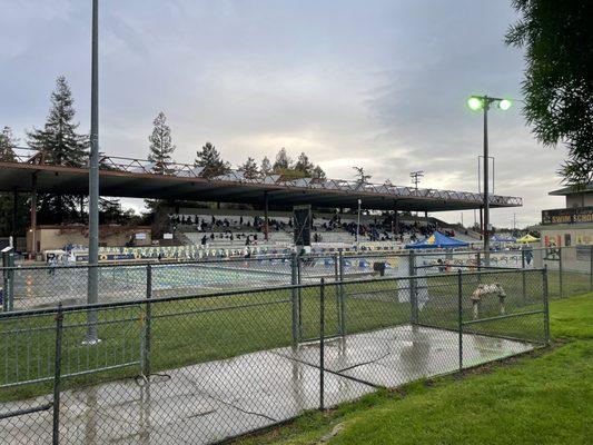 Wow! Major league swim venue!