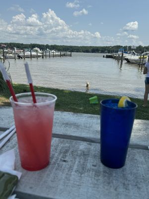 Strawberry Crush Bucket, dog, marina